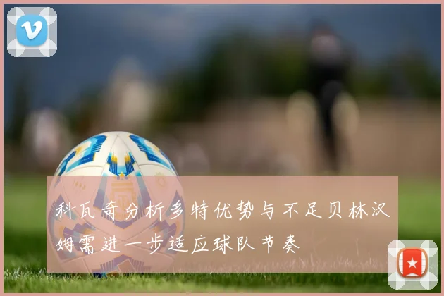 科瓦奇分析多特优势与不足贝林汉姆需进一步适应球队节奏