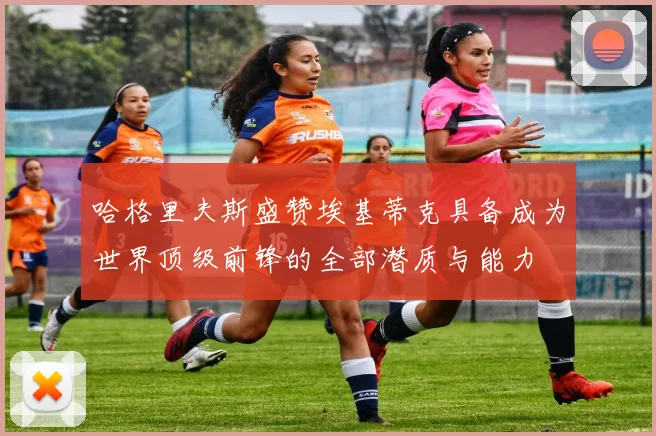 哈格里夫斯盛赞埃基蒂克具备成为世界顶级前锋的全部潜质与能力